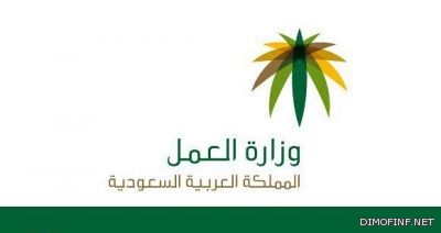 الأمين العام للجامعة العربية : كوفي عنان سيبدأ مهمته في سوريا بزيارة للجامعة العربية