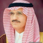6 ضوابط جديدة لتسهيل مرور الخيل عبر المنافذ السعودية
