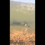 بالفيديو.. مواطن يوثق مهاجمة قرود لمدرسة أهلية في بريدة