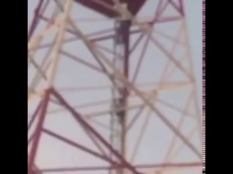 بالفيديو.. أطفال يتسلقون برج اتصالات بالخفجي معرضين حياتهم للخطر
