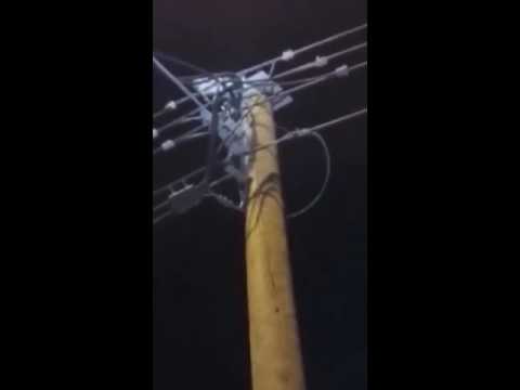 بالفيديو .. “كهرباء صامطة” تنقذ قطة عٓلِقت فوق “عمود”