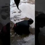 بالفيديو … الشمراني يعتدي على أحد مشجعي نادي الهلال بمطار الملك عبد العزيز