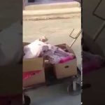 شرطة الرياض تقبض على حدث ظهر في مقطع فيديو يفحط أمام الدورية “فيديو”