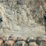 وزير الدفاع البريطاني يعلن التصدي لهجوم حوثي في البحر الأحمر