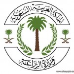 وزارة التربية تدعو «محضرات المختبرات» للمراجعة