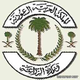 وفد شعبي – برلماني مصري في الرياض لإقناع السعودية بإعادة سفيرها للقاهرة