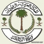 “مرور الرياض” يلقي القبض على مفحط الداتسون – فيديو