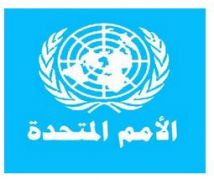 الأمم المتحدة تشيد بقرار السماح للسيدات في المملكة بقيادة السيارة
