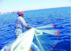 تحديد موسم صيد الربيان على ساحل الخليج العربي