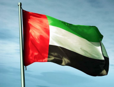 إحالة 84 متهماً بإنشاء “تنظيم سري” إلى محكمة أمن الدولة في #الإمارات