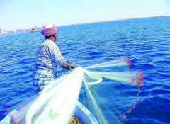 بدء موسم صيد الربيان الاثنين القادم على ساحل الخليج العربي