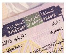 تحديد ضوابط إصدار التأشيرات السياحية بالمملكة