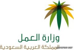 وزارة العمل : شطب وإلغاء 255 مكتبًا للتوظيف الأهلي عن مزاولة النشاط