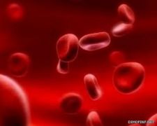 أمل جديد للمصابين بسرطان الدم عبر خلايا المناعة