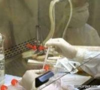 إنفلونزا الطيور يظهر مجدداً في الصين