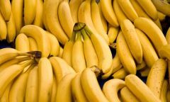 40 % زيادة في أسعار الموز والارتفاع يستمر إلى رمضان
