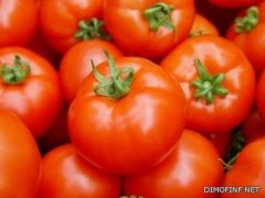 أسعار الطماطم تقفز 50% في طيبة