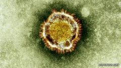 علماء: فيروس “كورونا” ينتقل بشكل معقد