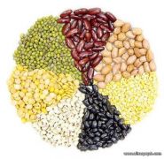 البروتين النباتي غذاء صحي مهم