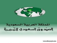 الصندوق السعودي للتنمية يعتمد تسهيلات ائتمانية لتصدير سلع وطنية متنوعة بأكثر من 156 مليون ريال