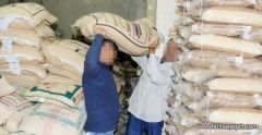 موردو الأرز يجففون السوق ويرفعون الأسعار 18%