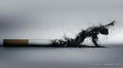 مضار التدخين.. قائمة أمراض تطول وتطول