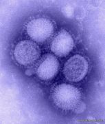 اكتشاف حالات إصابة بانفلونزا الخنازير في الكويت