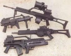 صحيفة: “الداخلية” تدرس استخدام أسلحة جديدة ميدانياً لمواجهة الإرهاب