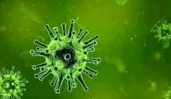 عواقب وخيمة.. “#الصحة_العالمية” تحذر من طفرات جديدة لفيروس “كورونا”