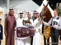 مربط المعود ينتزع دولية قطر لجمال الخيل
