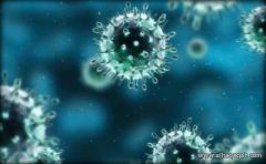 ماهو فيروس كورونا؟ أعراضه؟ وهل من علاج للمريض؟