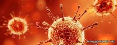 علماء : فيروسات نوروفيروس تتسبب في 5 حالات التهاب المعدة والأمعاء