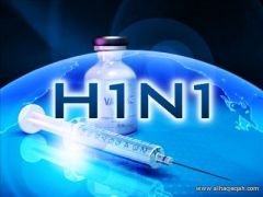 عمان تعلن تسجيل 44 حالة أنفلونزا خنازير.. ولا وجود لـ “كورونا”