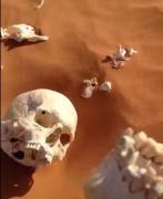 مواطن يعثر على “جثة متحللة” في صحراء شقراء