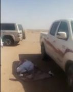 بالفيديو … لحظة إصابة مقيم يمني صدم 3 إبل سائبة بالفويلق