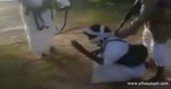 بالفيديو : القبض على حوثي تسلل إلى داخل مزرعة في نجران