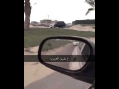 بالفيديو.. اصطدام سيارة بحصانين هائجين على طريق سريع في الخبر