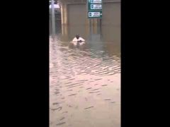 بالفيديو: مُسنٌّ يسبح داخل مياه سيول شارع الخبيب ببريدة