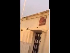 بالفيديو.. مواطن يوثق مهاجمة قرود لمدرسة أهلية في بريدة