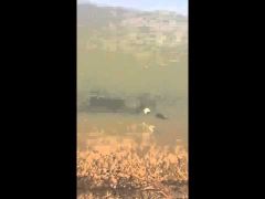 شاهد … فيديو يسجل تجمد المياه بين عرعر وحزم الجلاميد