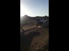 بالفيديو : جيب يعجز عن سحب جمل بالصحراء رفض السير معه