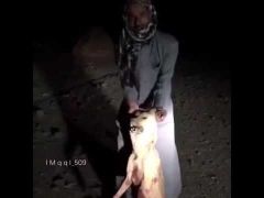 ‏‫بالفيديو.. مواطن يتمكن من قتل ذئب حاول افتراسه