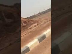 بالفيديو.. مواطن يرصد صقرا يتزود بالمياه على مدخل رفحاء وهواة الصيد يبدأون المطاردة