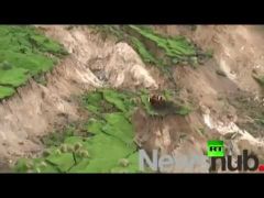 بالفيديو : زلزال نيوزيلندا يرفع بقرتين و عجلا إلى قمة جبل
