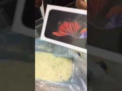 بالفيديو.. مواطن برفحاء يعثر على الأرز في علبة أيفونه الجديد
