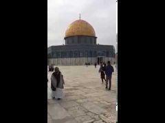 خليجي يوثق زيارته مع رفقائه للمسجد الأقصى ويجدد الجدل (فيديو)