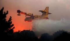 الجزائر تستخدم الطائرات لإطفاء حرائق الغابات في 7 ولايات