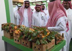 انطلاق فعاليات مهرجان المنتجات الزراعية الموسمية في #الطائف