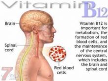 نقص فيتامين B12 يتلف الذاكرة