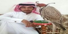 سعودي يبيع صقراً لقطري بمبلغ 610 آلاف ريال
